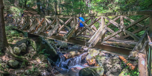 HIking in the Schwarzwald of Southern Germany