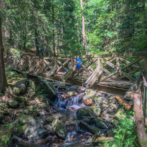 Trekking in the Scwarzwald of southern Germany