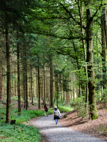 Hiking in Baden-Wrttemburg