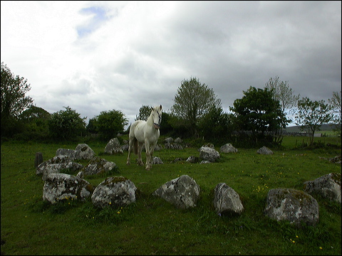 s-carrowmore-horse_circle.jpg