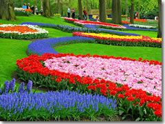 Keukenhof Gardens