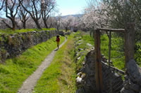 Hiking at the farm-hotel Alqueria de Morayma