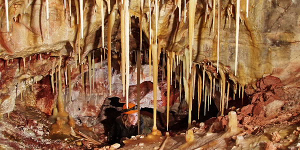 Stalactites in Wind Cave National Park, South Dakota