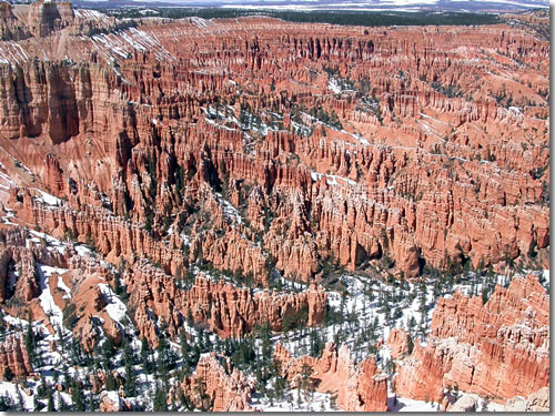 The hoodoos of Bryce Canyon, Utah