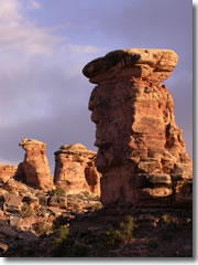 The Big Spring Canyon Overlook in The Needles of Canyonlands National Park in Utah.