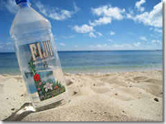 Fiji on Fiji