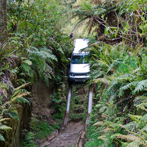 Moutain biking near Rotorua, New Zealand