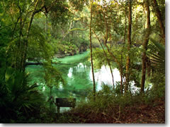 Blue Spring State Park, Florida