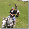 Horseback Riding in Hawaii