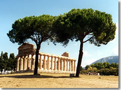 The Temple of Athena at Paestum (Photo courtesy of Michael Johanning)