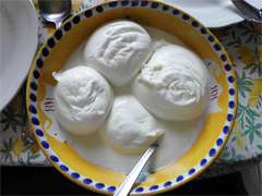 Mozarella fresca