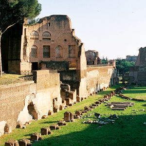 Palatino