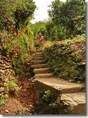 The tough trail betwen Monterosso al Mare and Vernazza