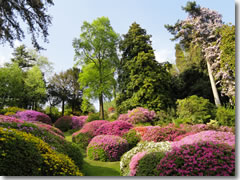 The gardens at Villa Carlotta, Tremezzo, Lago di Como