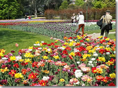 The gardens at Villa Taranto, Lake Maggiore