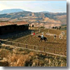 Horseback riding at The Agriturismo Monace di Mezzo, Sicily