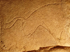 A bull carved into the rock walls of the Grotta del Genovese, Levanzo, Edagi Islands, Sicily