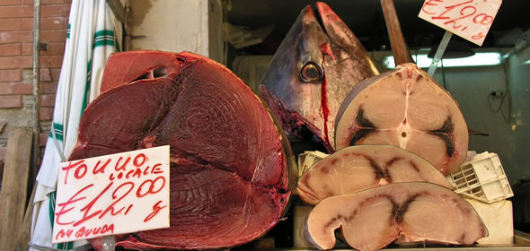 Fish at the Siracusa market