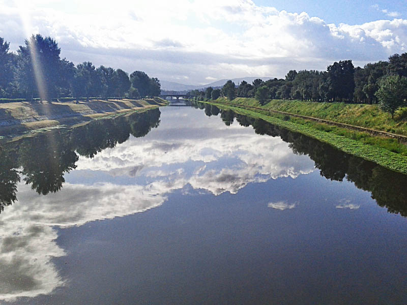 Parco delle Cascine along the Arno River in Florence. (Photo by Nikko Max)